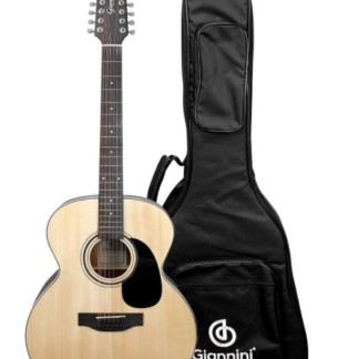 Viola 12 Cordas